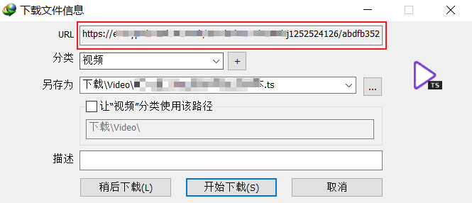 复制IDM解析的链接